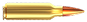 bullet